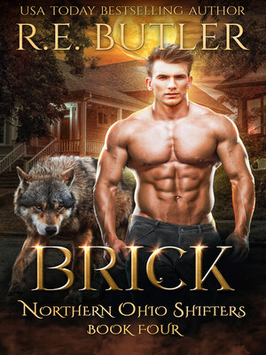 cover image of Brick